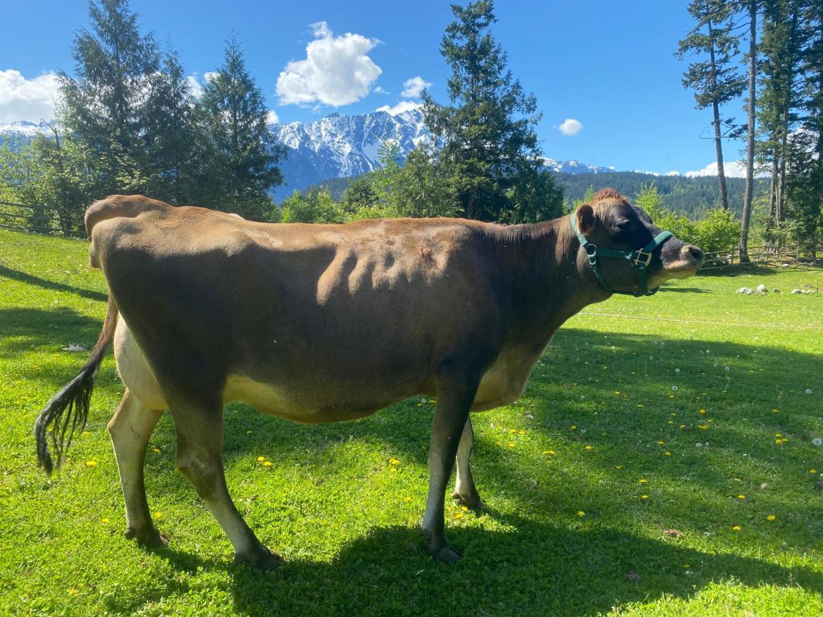Sweetwater Lane Farm Villa Mount Currie Buitenkant foto