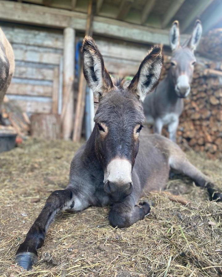 Sweetwater Lane Farm Villa Mount Currie Buitenkant foto