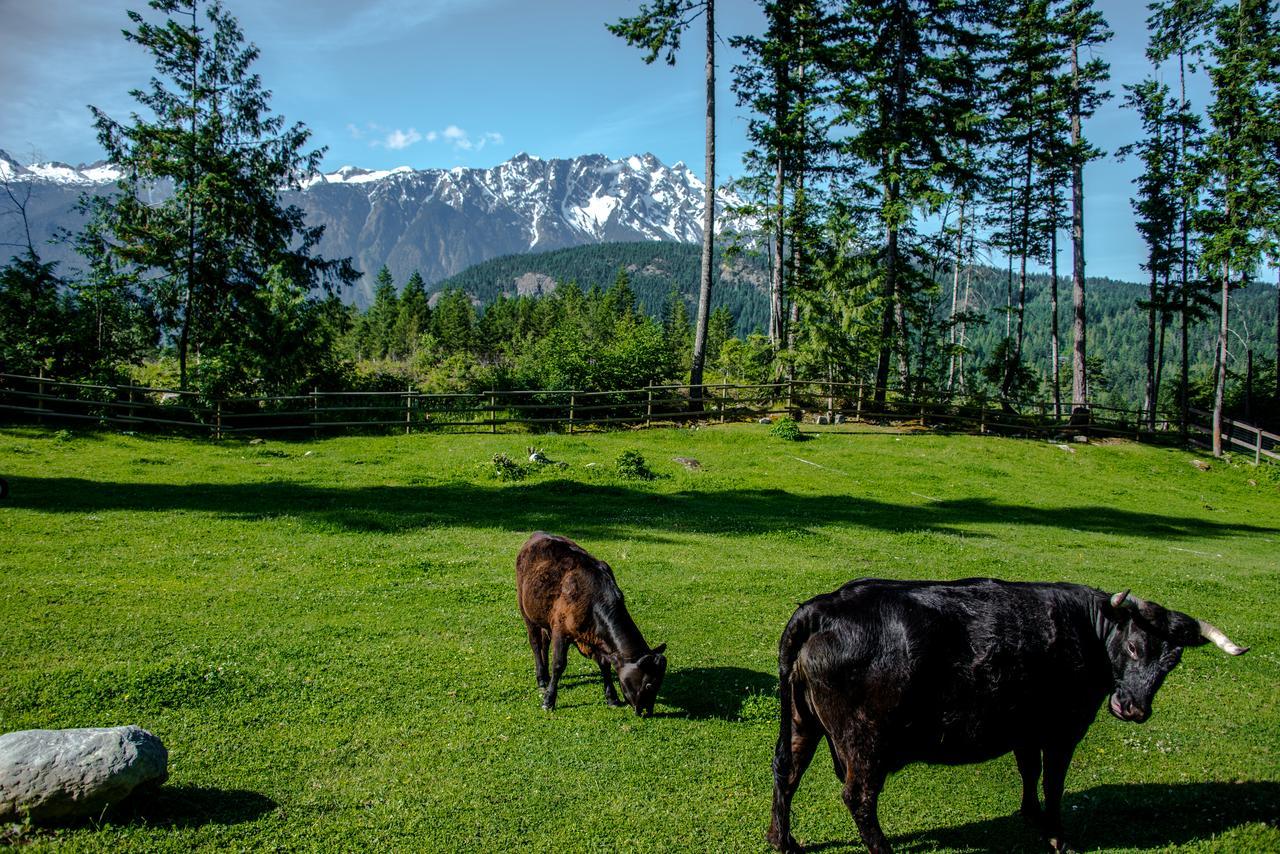 Sweetwater Lane Farm Villa Mount Currie Buitenkant foto