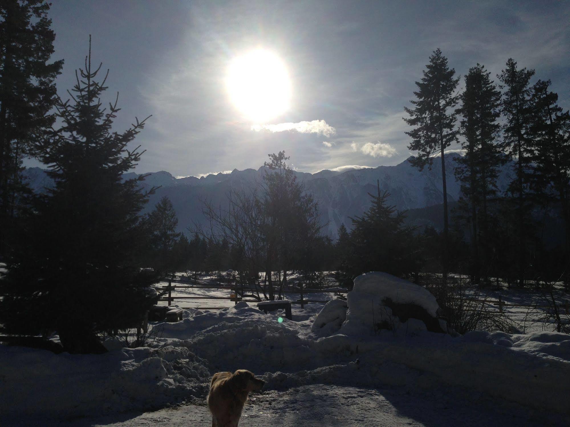 Sweetwater Lane Farm Villa Mount Currie Buitenkant foto