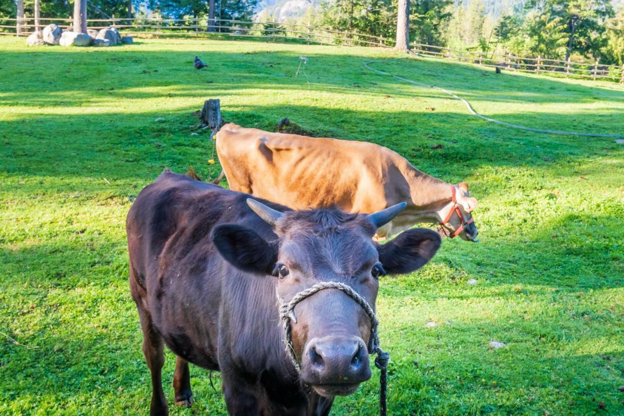 Sweetwater Lane Farm Villa Mount Currie Buitenkant foto